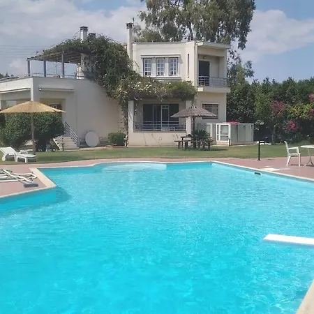 Mega Pool And Bbq Villa *
