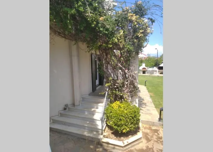 Mega Pool And Bbq Villa *